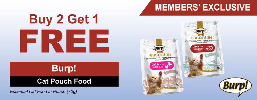 Burp! Cat Pouch Food Promo